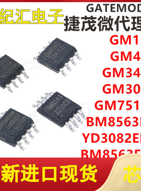 BM8563ESA/EMA/GM3085E/3485E/485E/75176E/1302/YD3082EESA IC