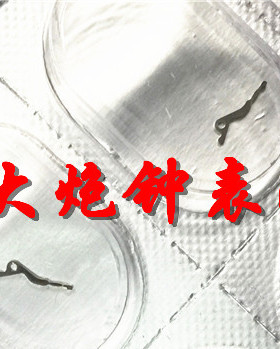 天津/ETA2892A2机芯配件：横担 离合杆 2892-2机芯配件 手表配件