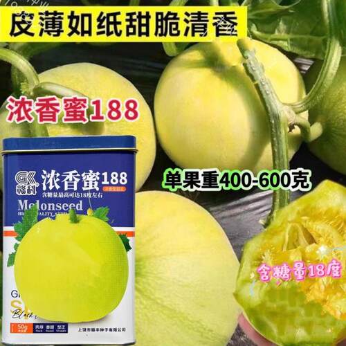 赣科浓香蜜188杂交甜瓜种子早熟皮薄香甜奶香味香瓜种耐运输耐裂