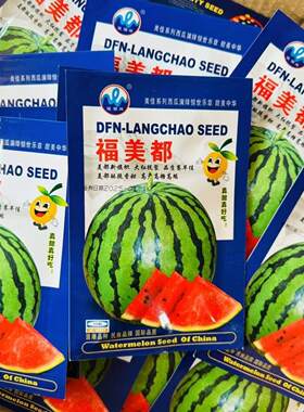 福美都西瓜种子高产抗裂大红酥脆香甜高糖皮薄果实圆形高端西瓜种