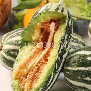 水芝脆麻 甜瓜种子甜到边香瓜种籽花果皮薄甜早熟甜皮度高四SQF季