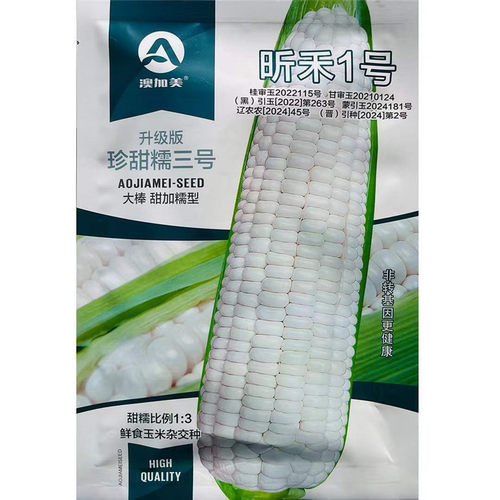 昕禾1号白糯甜玉米种子高产抗病大田种植优质白糯玉米种籽春季播