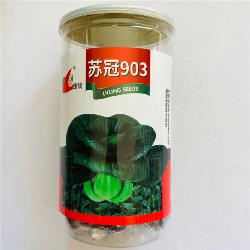 苏冠903黑叶矮脚苏州青青菜种籽高产耐寒四季播矮箕黑菜种子