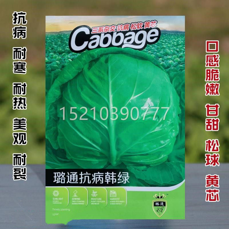 抗病xyi韩绿甘蓝种子籽卷心种菜菜孑大头菜抗病耐热包耐寒种耐裂