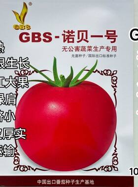 GBS诺贝一号西红柿番茄种子新品种杂交无限生长粉果西红柿种子