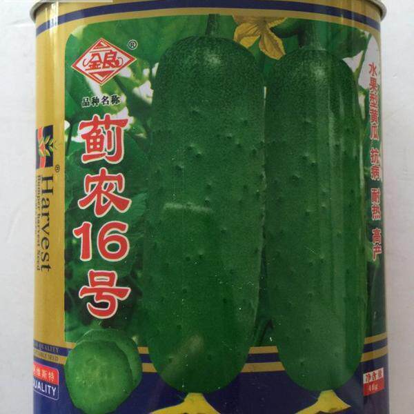 蓟农16号黄瓜种子 蔬菜水果黄瓜 瓜把短 春秋播早熟高产大田用种
