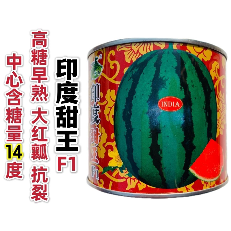 印度甜王进口西瓜种子农田播正宗早熟耐湿抗裂薄皮超甜大西瓜种籽