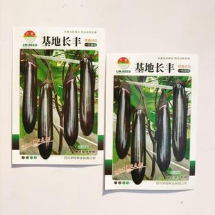 长丰907号茄子种抗病性强高产深紫红长茄子种籽大田春秋蔬菜种孑