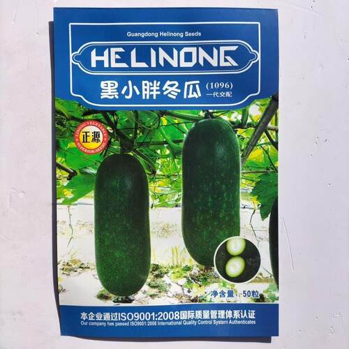正源和利农黑小胖冬瓜种子墨绿皮小冬瓜种子粗圆筒形小冬瓜种子