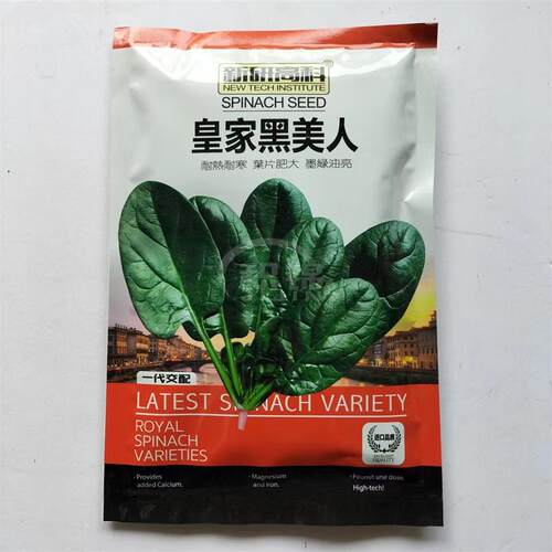 菠菜种子皇家黑美人墨绿油亮耐热耐寒高产抗病大叶菠菜种籽春秋播
