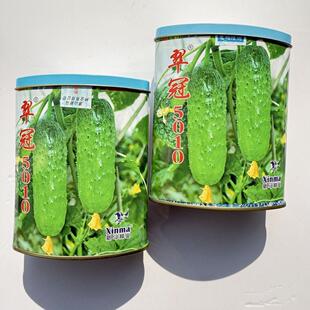 神马翠冠5010脆黄瓜种子中早熟抗病短棒水果黄瓜种籽绿瓤春秋播种