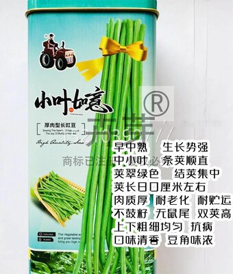 叶如IEJ特意高长角豆种子翠绿长压塌架豆角籽农小家菜园春夏秋四