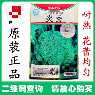 日本坂田炎秀西兰花青花菜种子2000粒花椰菜西蓝花蔬菜籽 包邮