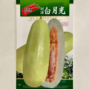 菜瓜甜瓜种子大全菜瓜江城脆甜瓜籽白月光油瓜种子春夏种高产正品
