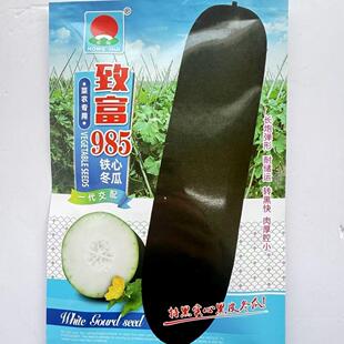 致富985铁心冬瓜种子长炮弹形杂交黑皮冬瓜肉厚腔小耐储运春秋播