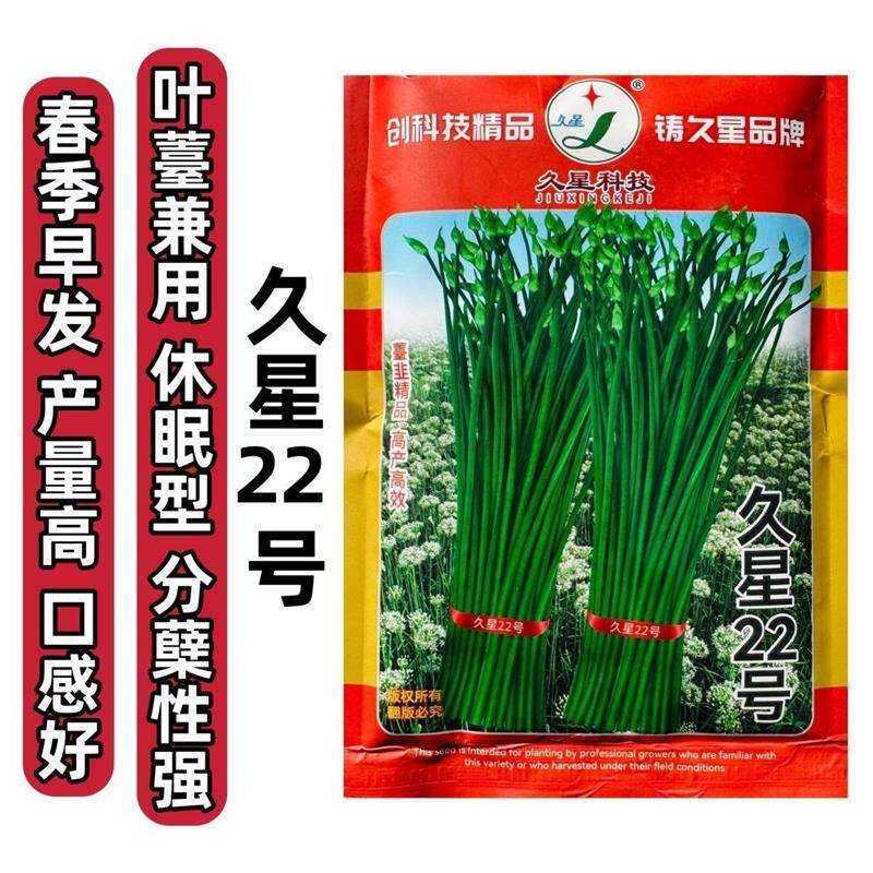 久星22号韭菜种子苔韭种子两用韭苔耐热耐寒大田休眠韭菜种籽抗病