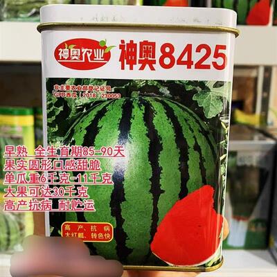 神奥8425西瓜种子高产抗病早熟甜脆麒麟瓜种籽大果耐贮红瓤西瓜种