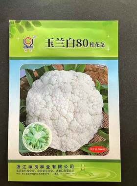 玉兰白80白松花菜种子中熟产量高花球洁白品质柔软甜脆味美LT