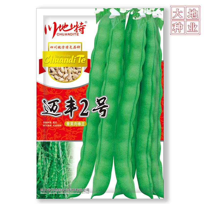 川地WZC特好丰2号 架豆种子早中熟种口感耐迈老化生长强基地品专