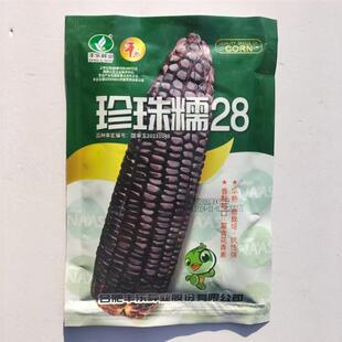 黑甜糯28黑糯玉米种子紫玉米种黑包谷种籽北方大田春夏播蔬菜种孑