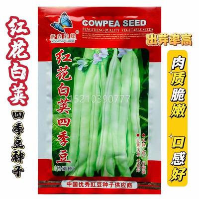 花红四季豆WNB种子鲜嫩老品种豆角白荚架种芸豆种菜籽豆角籽长豇