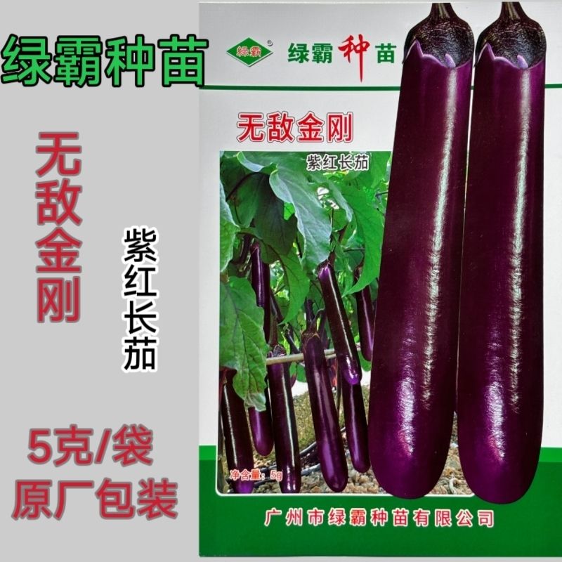 绿霸无敌金刚紫红长茄子种子烧烤茄子春秋冬季播蔬菜种子紫红茄籽