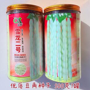 雪龙二号优质豆角种子无纤维丰产抗病四季豆种籽春秋播种梅豆种孑