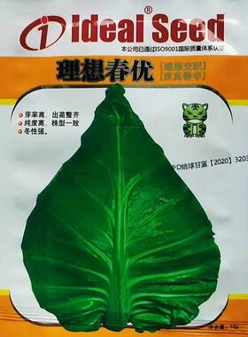 理想春优甘蓝子中种早熟冬性强兰包菜心菜牛DPH心甘种籽秋季蔬菜