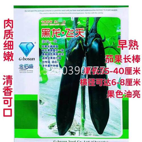 黑飞天黑长茄子种龙子抗RTB地病早熟黑亮棒茄籽春夏秋季大棚基种