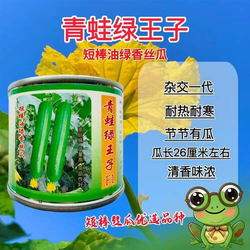 青蛙绿王子短棒油皮丝瓜种籽高产春秋油皮香蕉丝瓜种子大田专用种