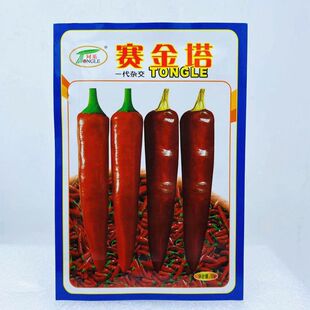 同乐赛金塔辣椒种子朝天椒种籽早熟中厚皮辣味强干鲜两用蔬菜种籽