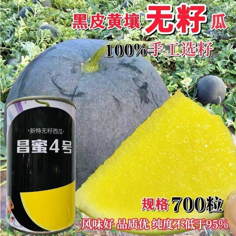 昌蜜4号西瓜种子 新特无籽黑皮黄瓤西瓜中早熟果肉金黄色高产无籽