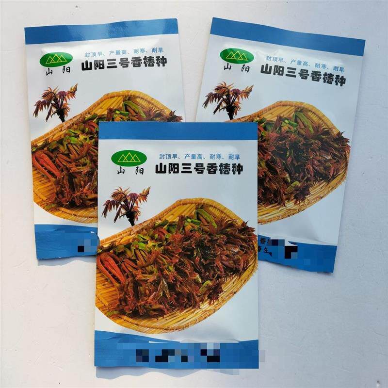 山阳三号香椿种子高产耐寒抗旱红油香铃子多头蔬菜种子便宜