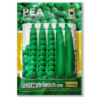 台嫩宝长寿仁豌豆籽种高产抗病春豌秋播耐寒大YFW田种植湾可生食