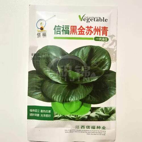 信福黑金苏州青青梗菜种子矮脚叶片椭圆深绿色口感软糯微甜耐寒菜