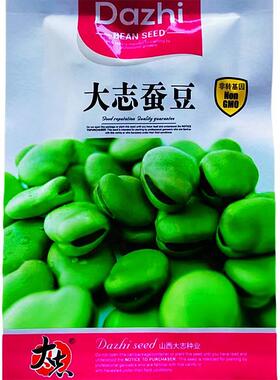 大蚕豆种子早熟ZWU高种产味量鲜美蛋白质含高抗病罗志汉豆胡豆春
