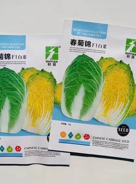 春播大白菜种子出口型高档春白菜种籽早熟杂交耐抽苔春季蔬菜种孑