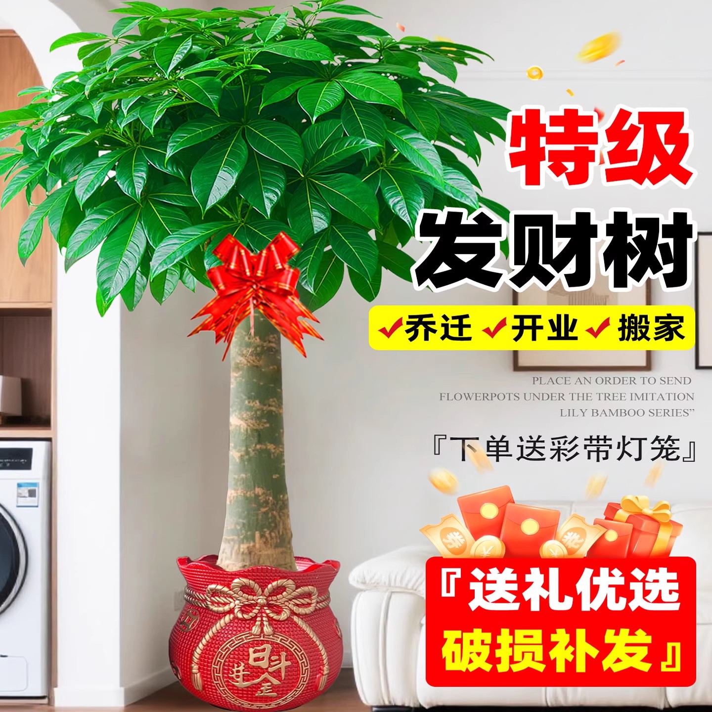 发财树植物室内好养高端高级感大