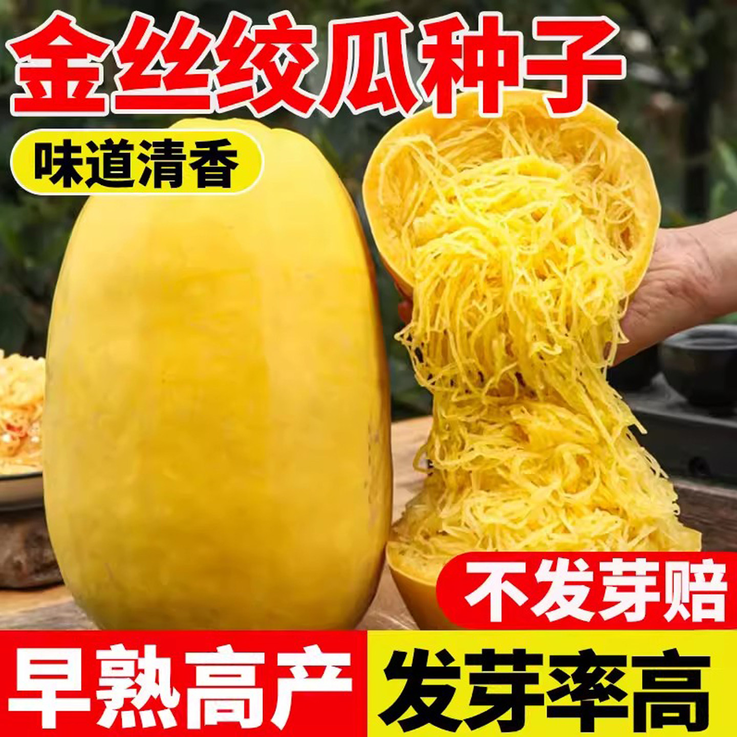 金丝绞瓜种子孑天然食用粉丝庭院阳台正宗薄皮搅瓜种籽四季种蔬菜