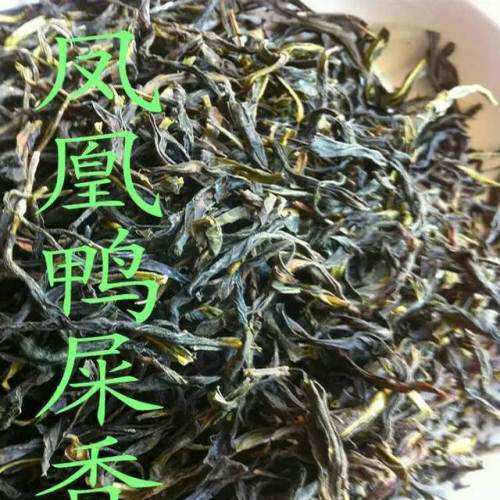 【宋种抽湿茶1斤】潮州凤凰 通天香 大乌叶鸭屎香 清香高香型新茶