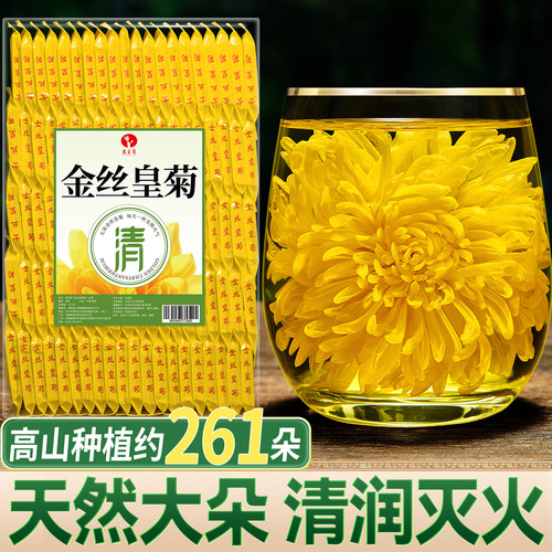 高山大朵金丝皇菊去火清热解毒