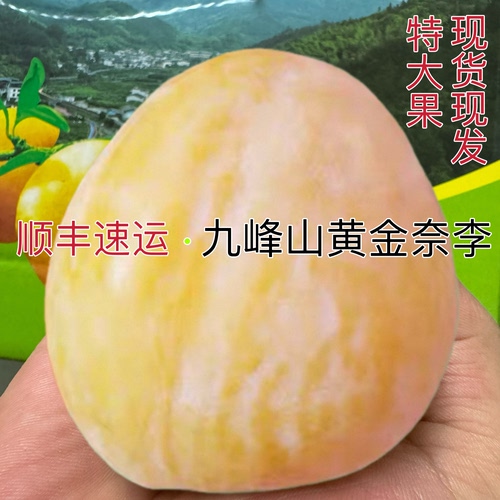 黄金奈李韶关市九峰山恐龙蛋