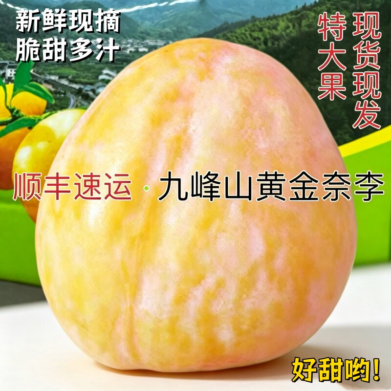 正宗九峰山黄金奈李孕妇水果特大果新鲜采摘脆甜多汁顺丰包邮
