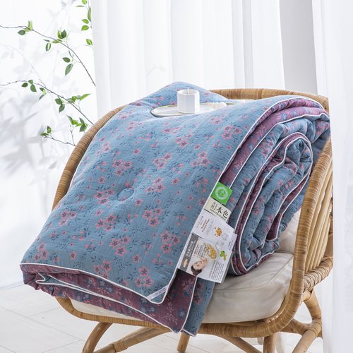 A类全棉双层纱被子大豆被芯冬被