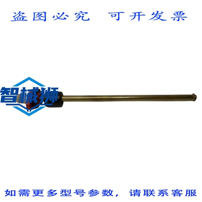 原装供应 GOLDAMMER NR50-SB40-L400-04 液位温度调节器 NSNP