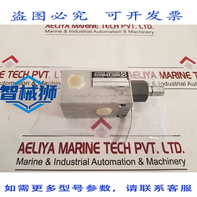 原装供应 RICKMEIER 1A32F3W30S 泄压阀
