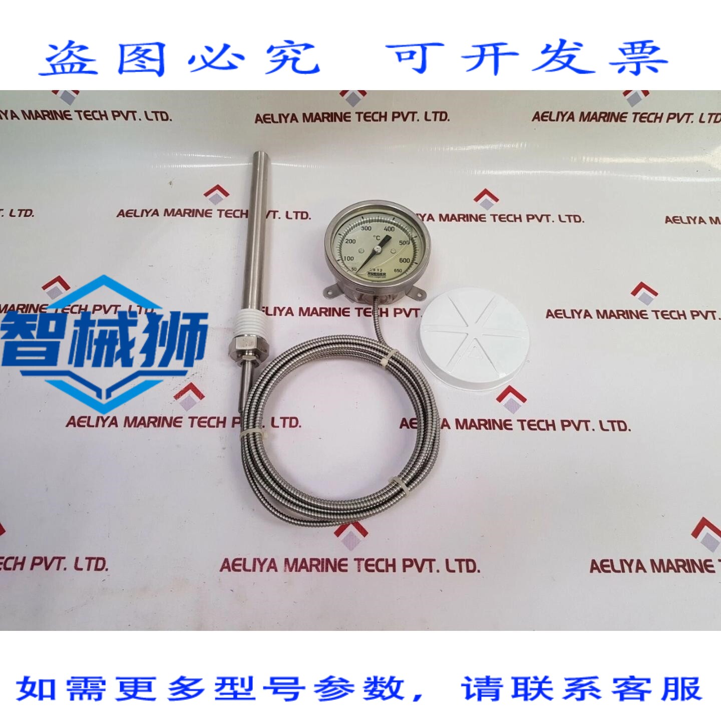 原装供应 RUER EN13190 CL.1 温度计 50-650°C