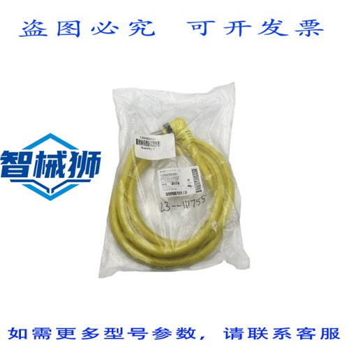 原装供应 丹尼尔·伍德海德 309001A01F060 1300080351 NSMP