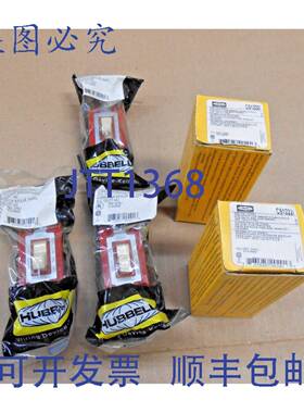 供应5  HUBBELL CS1222I 20 安培 120-277 VAC 开关 双极象牙