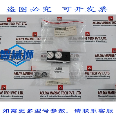 原装供应 MANOMETRO 7959112 CON BLOQUE G1/4 0-10 BAR 0-145 P